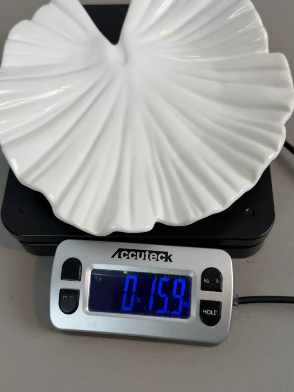 Ambiance Collections White Ceramic Ginkgo Leaf Plate Trinket Dish 8.5”